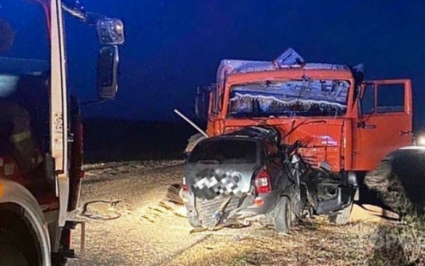 Появились подробности о погибшем в ДТП под Пензой, где столкнулись «КамАЗ» и «Калина»