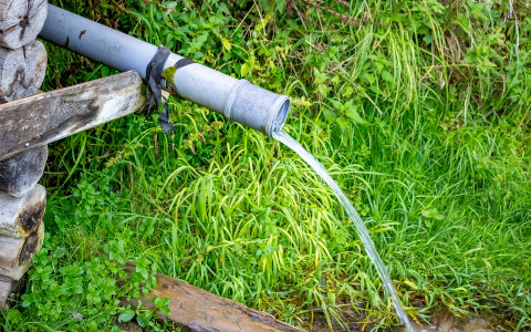 Пензенские специалисты рассказали, стоит ли пить воду из родников во время пандемии