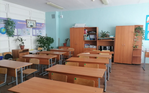 Сколько пензенских школьников заразились COVID-19? - отвечает глава Управления образования