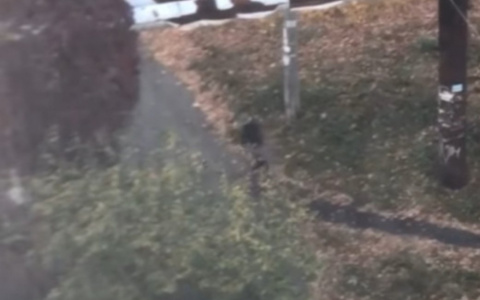 Из-за детей, бьющих бутылки около школы в Пензе, разразился конфликт