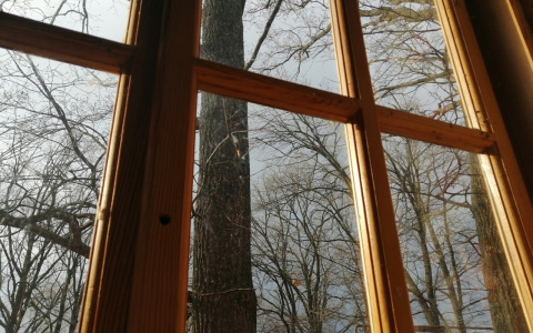 Одеваемся теплее: синоптики обещают мороз в Пензенской области