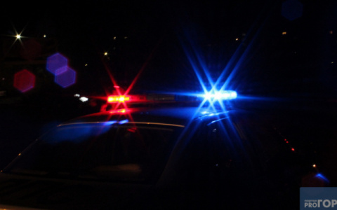 В Кузнецке под колесами фуры погиб мужчина