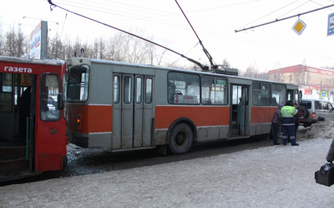 Мэр Пензы сообщил, что отказываться от троллейбусов пока не стоит