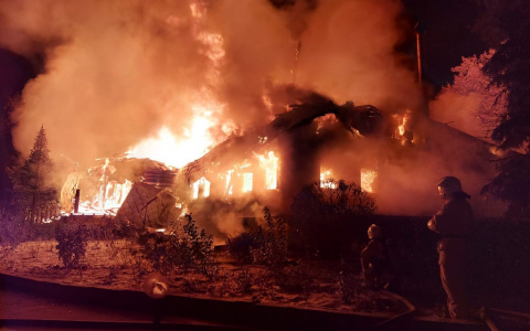 При пожаре в Пензенской области погиб человек - подробности