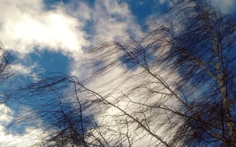 Предупреждение от МЧС: на Пензу надвигается штормовой ветер