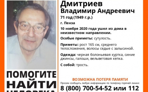 В Пензе начался розыск Владимира Дмитриева: подробности