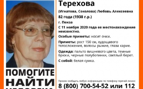 Нужна помощь! В Пензе пропала Любовь Терехова