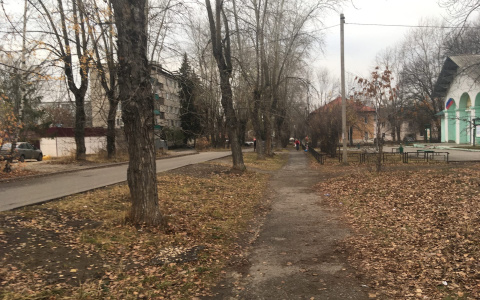 Стали известны самые "ковидные" места в Пензенской области