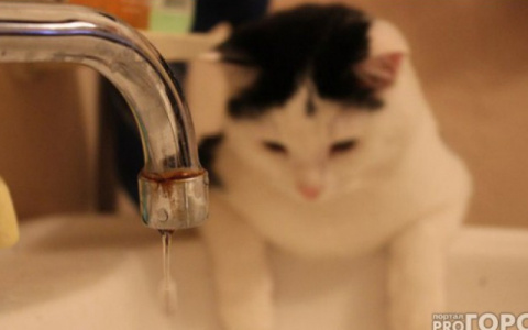 В Пензе сразу 9 улиц останутся без холодной воды: адреса