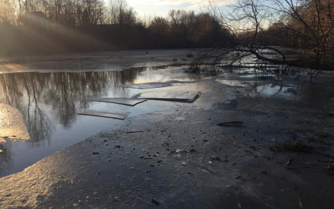 «Только кричала, что там братик»: мужчина рассказал о спасении 7-летней девочки на реке в Пензе
