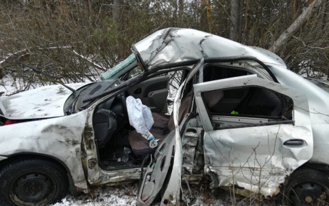 Два человека погибли: появилась информация об ужасном ДТП с иномаркой и большегрузом в Пензенской области