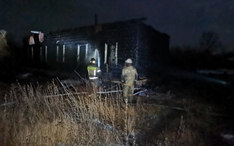 В Пензенской области при пожаре в частном доме погибли два человека