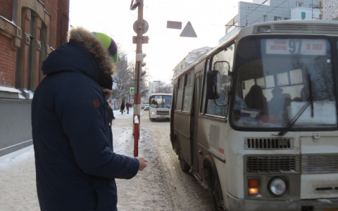 Люди ходят пешком? Пензстат сообщил о снижении пассажиропотока