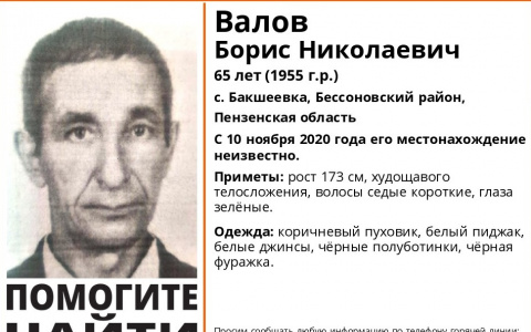 Пензенцев просят помочь найти 65-летнего мужчину
