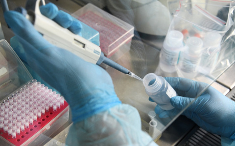 Назвали районы области, в которых обнаружили больше всего заболевших COVID-19