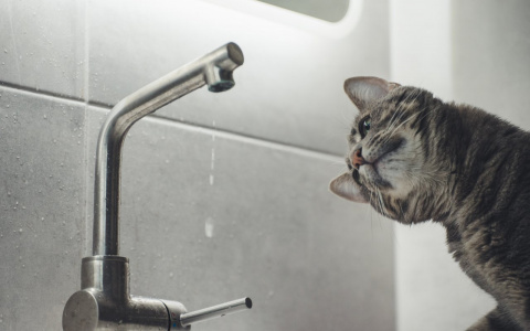 Горводоканал назвал адреса, где в Пензе отключат воду