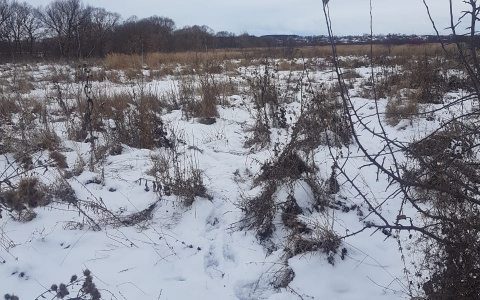 Нашли в снегу: в Каменском районе обнаружили труп пропавшего мужчины