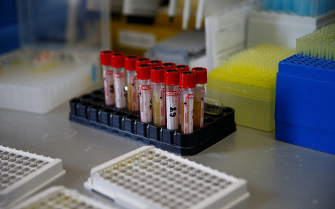 Три летальных случая: кто погиб от COVID-19 в Пензенской области