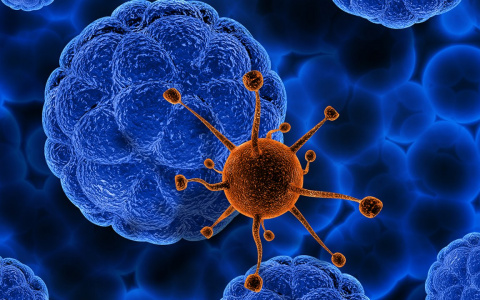 Срочно! Ученые нашли уязвимое место коронавируса