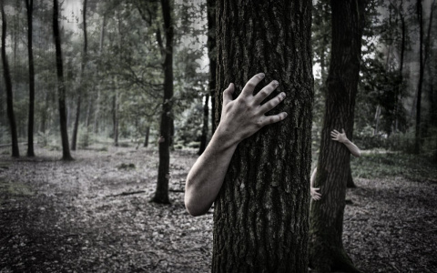 Встреча с неожиданными гостями из леса потрясла пензенца. Видео