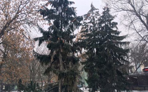 Сильный ветер и теплая погода ожидает пензенцев 2 января