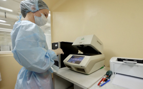 Врачи рассказали о самых опасных районах Пензенской области по распространению COVID-19