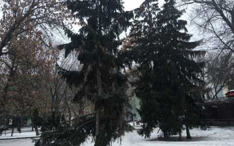 На Пензенскую область надвигаются крепкие морозы