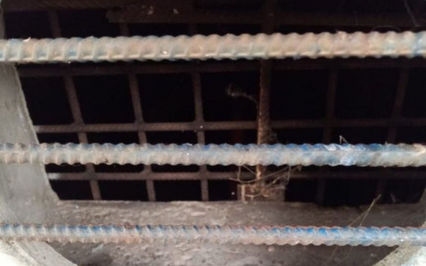 В Пензе зоозащитники пытаются спасти замурованных кошек