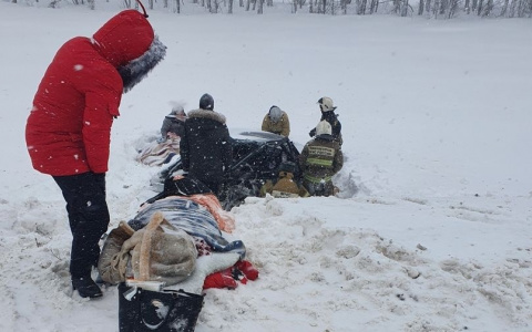 Несколько погибших: появились снимки с места кошмарной аварии на трассе "Пенза-Саратов"
