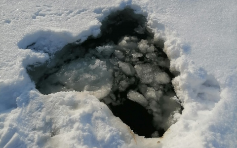 Будьте бдительны! Пензенских рыбаков подстерегает опасная угроза