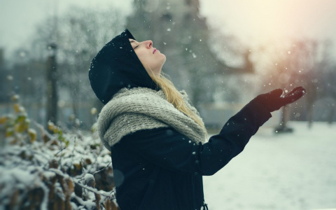 Тельцов ждет вдохновение, а дев – эпоха перемен: гороскоп на вторник