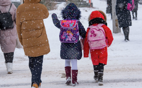 Назвали условия, при которых школьники могут остаться дома
