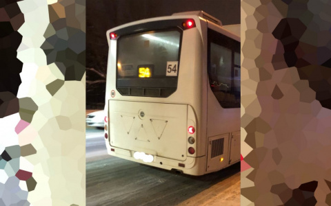 «Выгнали на мороз в –20»: гитариста с собачкой не пустили в пензенский автобус