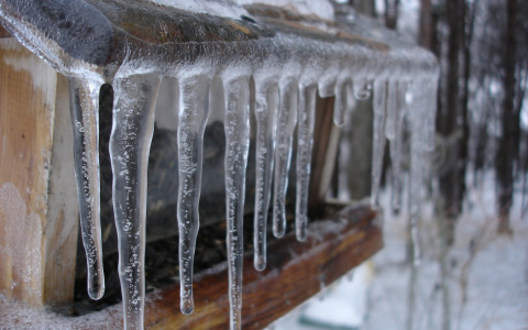 Последние новости о девочке из Пензы, на которую свалился лед, рассказали врачи