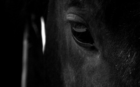 Пензу посетил «Всадник Апокалипсиса» – шокирующее видео