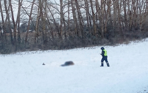 Стала известна личность погибшего, найденного в снегу под Нижним Ломовом