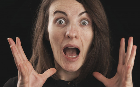 «Просто ужас»: жуткие твари просочились в квартиры жителей Пензы