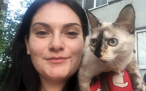 "Это была память о папе": пензячка 8 месяцев ищет любимую кошку