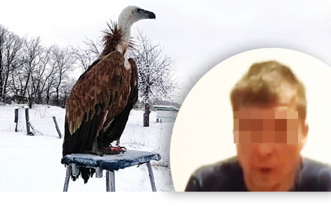 «Сломал енотику челюсть»: исповедь бывшей жены о «кровавом циркаче» и его животных