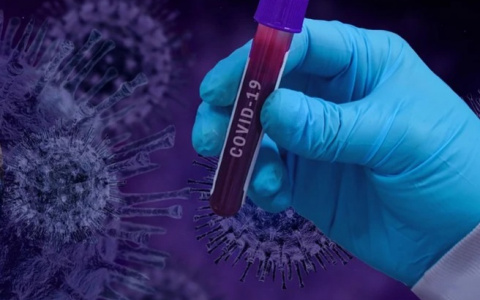 В Пензенской области коронавирус подтвердился еще у 203 человек