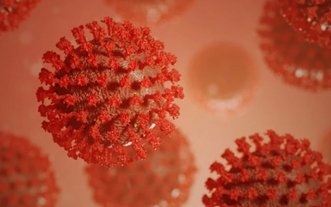 В Пензенской области среди новых пациентов с коронавирусом – 10 детей