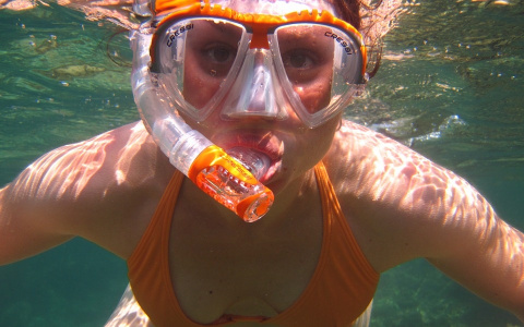 В Пензе могут появиться новые виды спорта