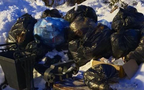 «Чиновники, посмотрите в окошко!»: в центре Пензы скопилась куча мусора