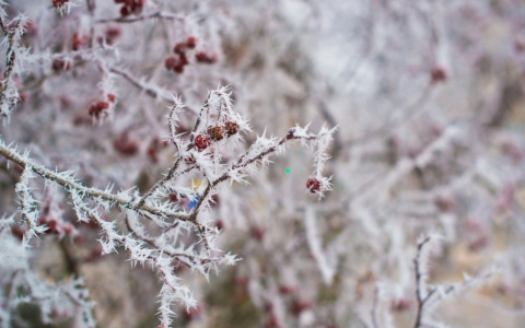 Синоптики предупредили об аномальных морозах в Пензенской области