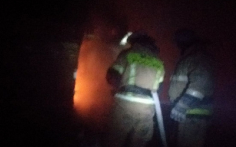 Под Пензой в результате пожара погибли 2 человека