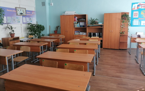 В 15 районах Пензенской области отменили занятия в школах