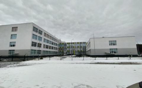 В Пензе восьмиклассницу перевели в другую школу после жалобы на пост в Сети