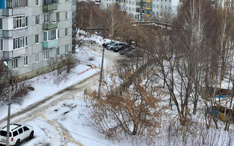 Предупреждение от МЧС: в Пензенской области ожидается сильный ветер