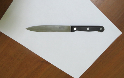 Пензенец убил мужчину двумя ножами