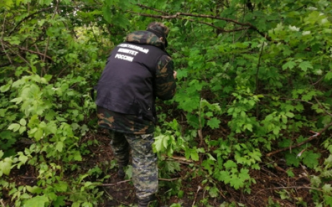 В Пензе завершено расследование дела об изнасиловании и убийстве 14-летней девочки